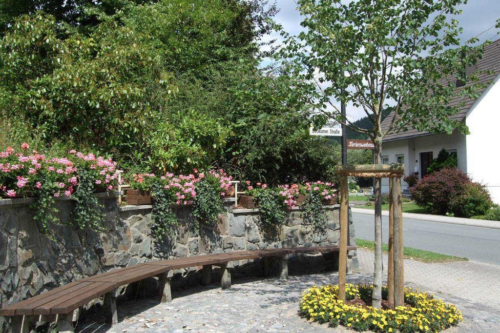 奥尔斯贝格Haus Mittelberg公寓 外观 照片