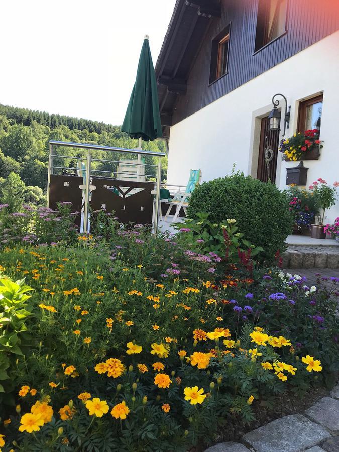 奥尔斯贝格Haus Mittelberg公寓 外观 照片